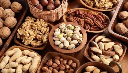 坚果是人类的健康伴侣吗