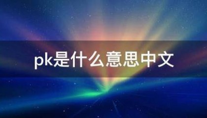 pk是什么意思金西夜过学频望搞武中文