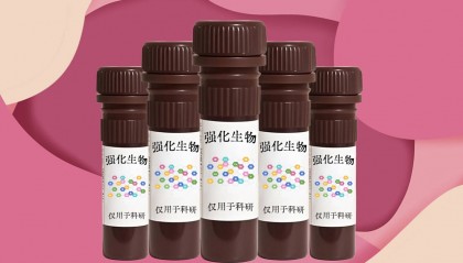 路易斯-X三糖Lewis-X Trisaccharide的实验操作步骤大公开！【71208-06-5】