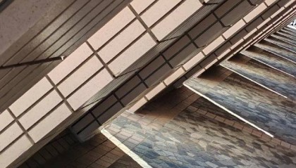 港澳4日游多少钱人民币？经验！香港澳门旅游当地导游怎么找？