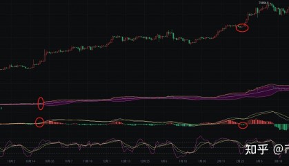 比特币最新行情(比特币最新行情美元实时价格)