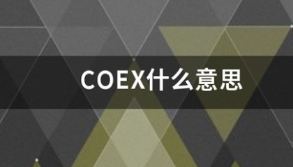 CO来自EX什么意思