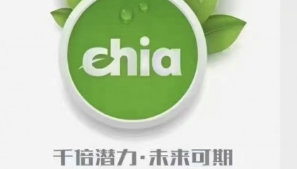 奇亚币价格(奇亚币价格最新价格)