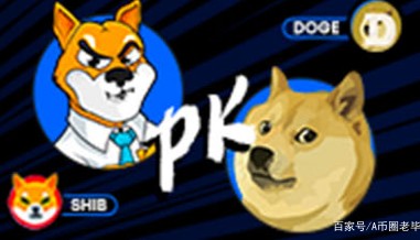 SHIB(十八岁成人礼的金句)