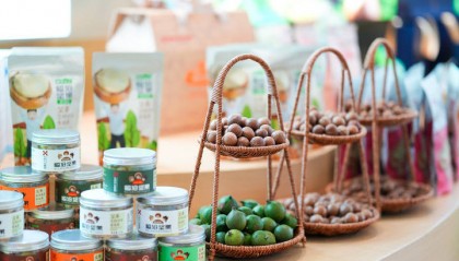 从零到百亿：临沧坚果“链”成记