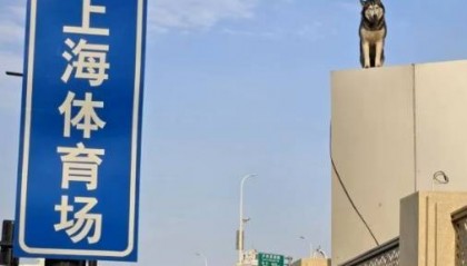 萌翻了！火爆全网的小狗山是真的，不是P的！紧急提醒