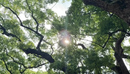 去一次华东3日游多少钱人民币？建议收藏！华东研学团旅游找哪家好？