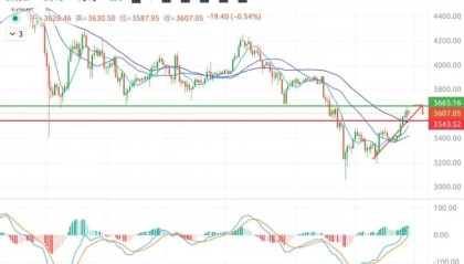 比特币最新行情(比特币最新行情价)