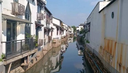 迎“刃”而解：舔狗捞女经济（二）