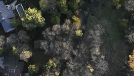 习近平与外国友人的故事｜邦尼街2911号里的友谊