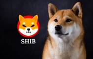SHIB最新消息(shibaswap最新消息)