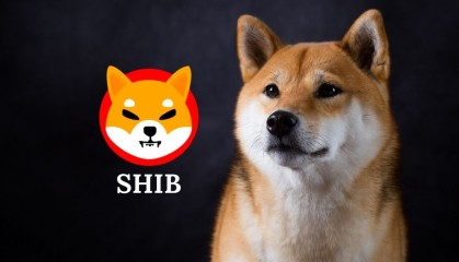 SHIB最新消息(shibaswap最新消息)