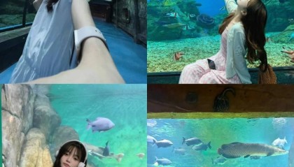 去一次鼓浪屿3日游多少钱人民币？省钱！厦门研学团旅游找哪家好？