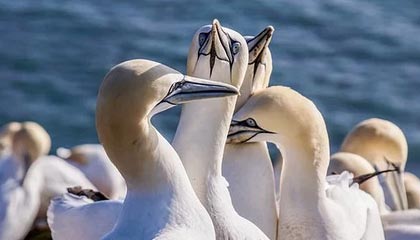 浙江锐杨贸易有限公司成立,注册资本1000万人民币