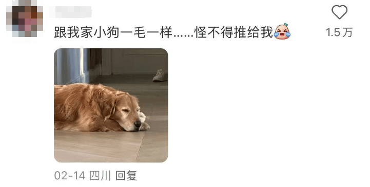 萌爆全网的“小狗山”，真不是P的！紧急提醒→