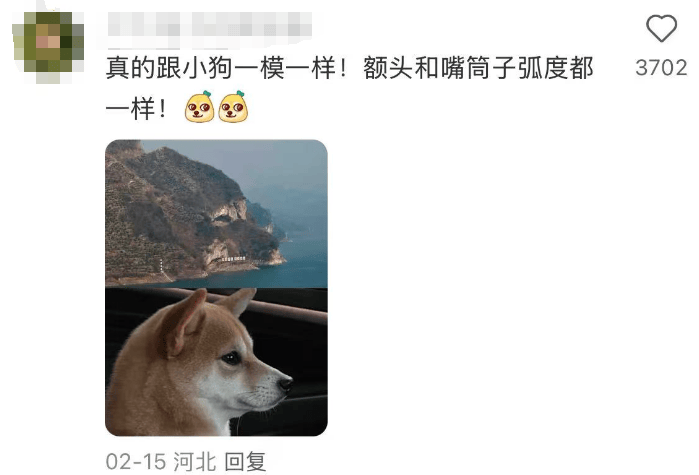 萌爆全网的“小狗山”，真不是P的！紧急提醒→