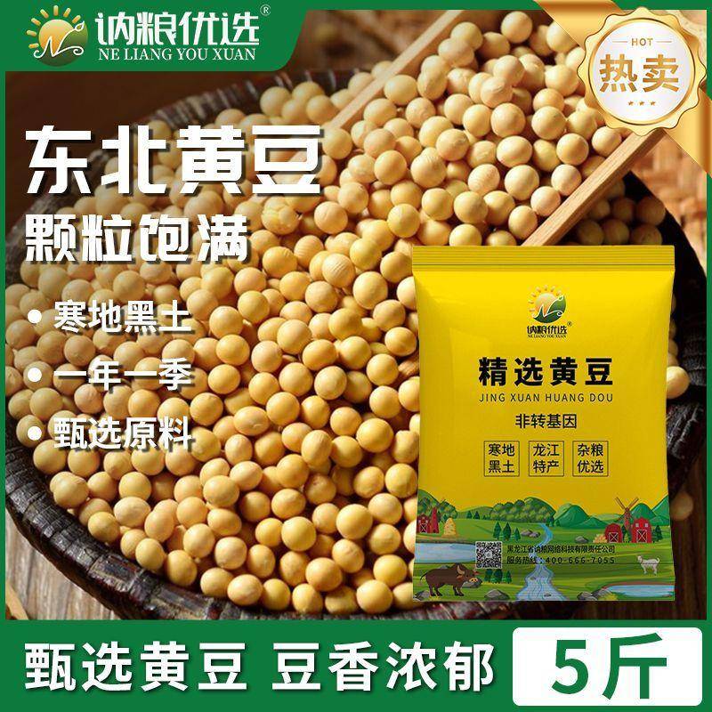 从发芽到豆浆：精选黄豆的全能厨房革命