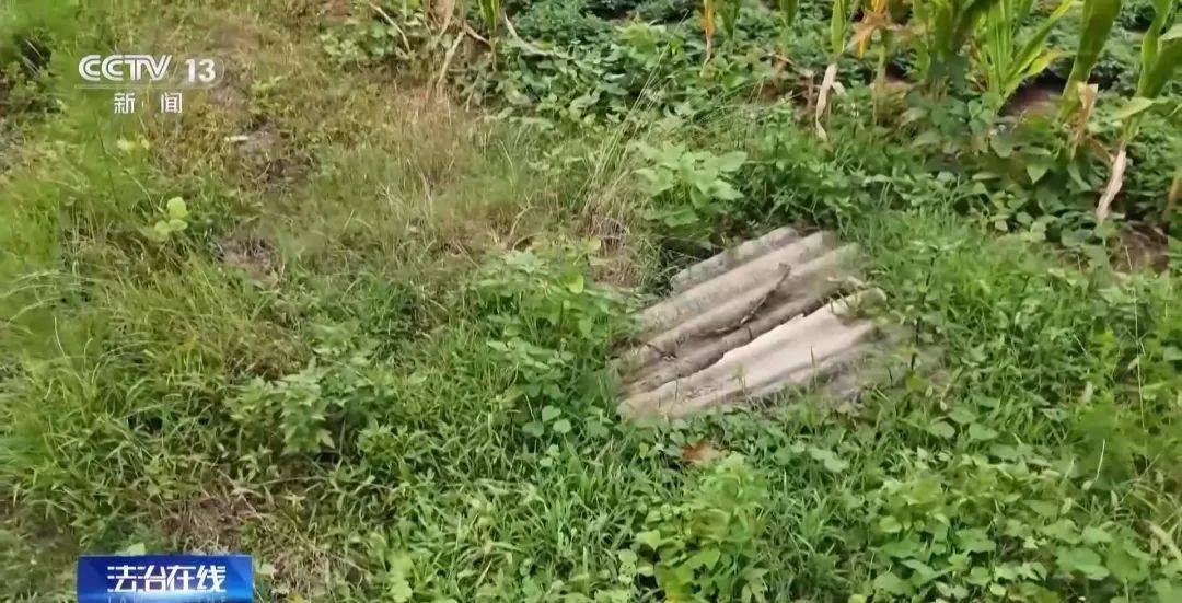 湖北警方破获特大盗墓案:嫌犯看小说学盗墓,挖走20件青铜器国宝,警方扮成“实力买家”接近,大量细节曝光