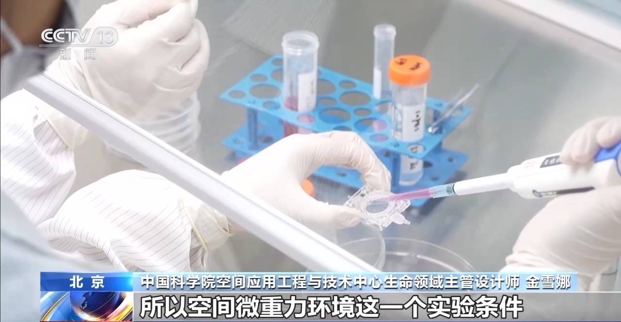 中国空间站完成空间生命科学在轨实验任务 还刷新一项新纪录