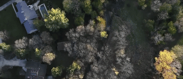 习近平与外国友人的故事|邦尼街2911号里的友谊