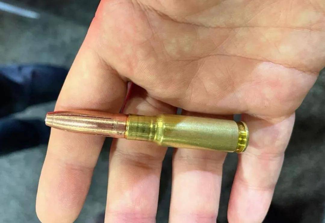 从未见过!4款国产神秘新步枪意外曝光,191枪族居然还有新型号?