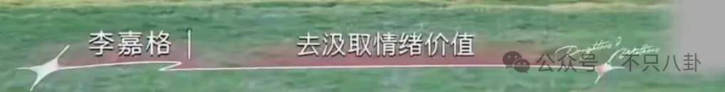 姐终于离了,这次总算是摆脱不靠谱的老公和强势的婆婆了!