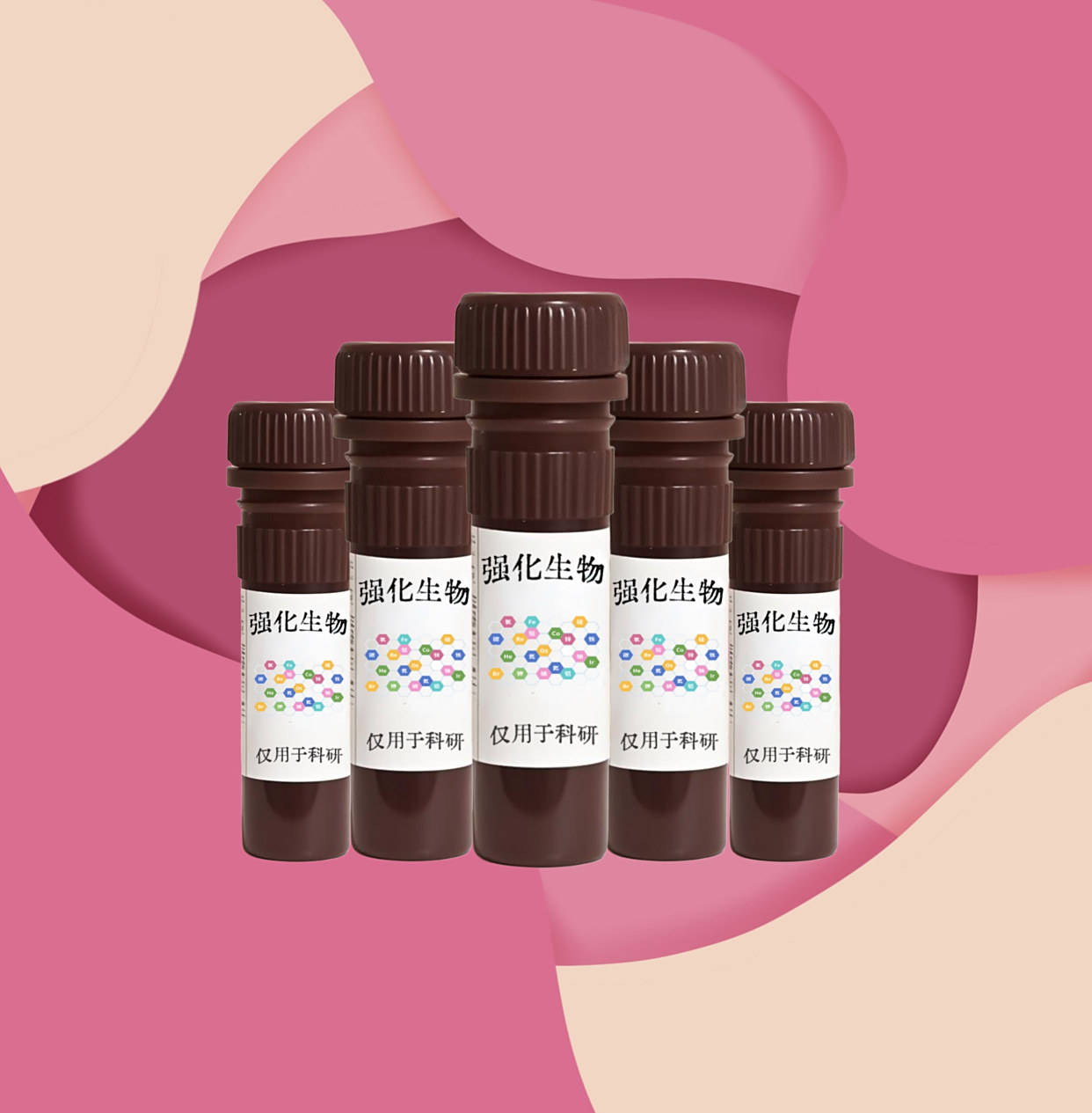 路易斯-X三糖Lewis-X Trisaccharide的实验操作步骤大公开!【71208-06-5】