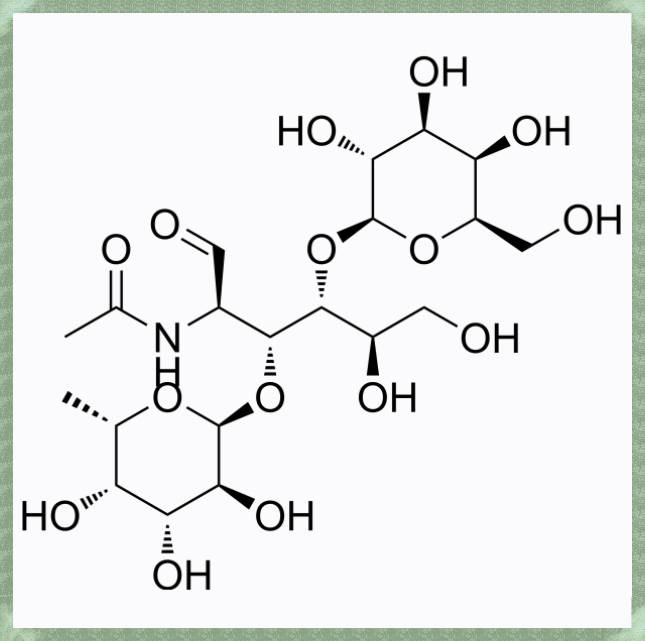 路易斯-X三糖Lewis-X Trisaccharide的实验操作步骤大公开!【71208-06-5】