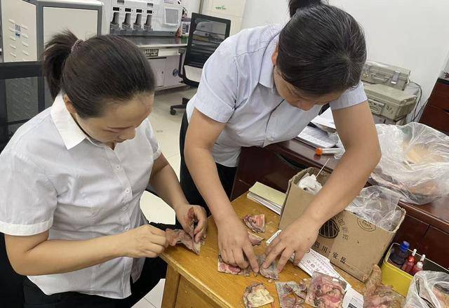 我为群众办实事|残损币兑换彰显服务温度