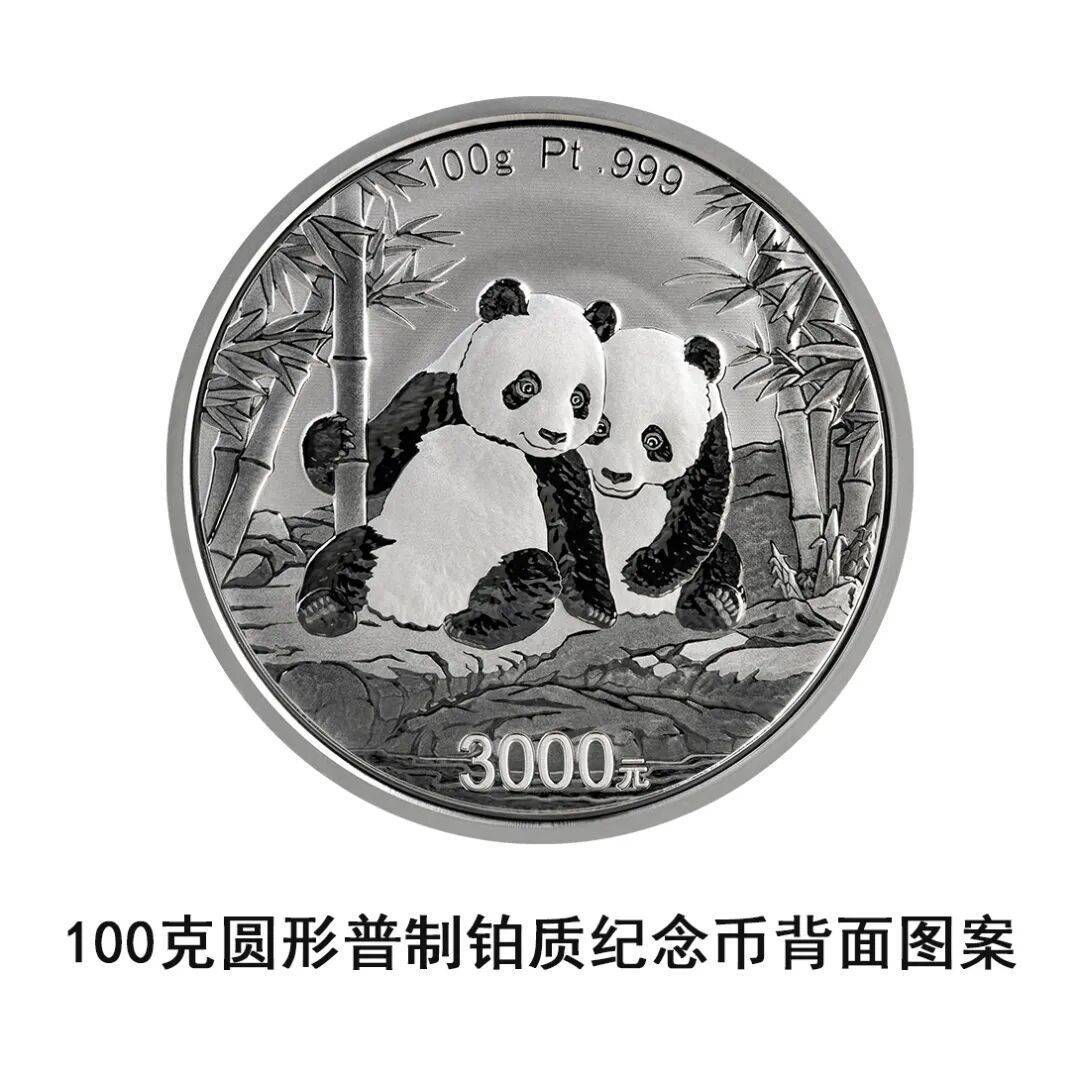 一睹为快!央行将发行2026版熊猫贵金属纪念币一套