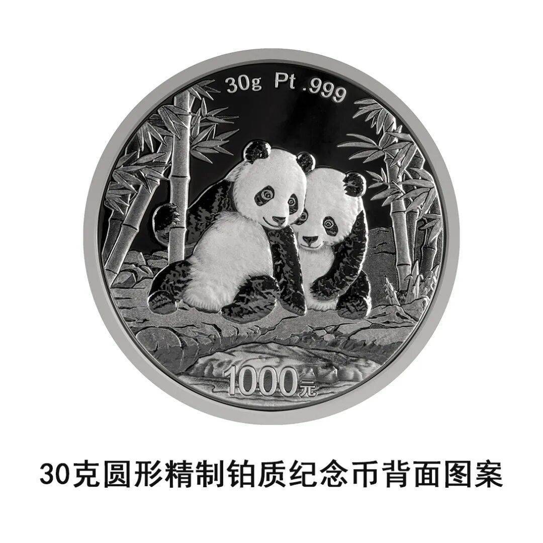 一睹为快!央行将发行2026版熊猫贵金属纪念币一套