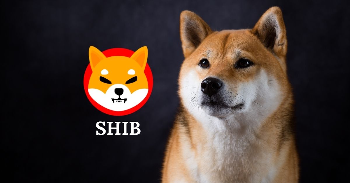 SHIB最新消息(shibaswap最新消息) SHIB最新消息(shibaswap最新消息)