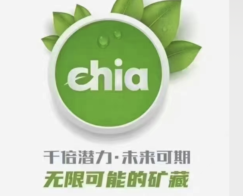 奇亚币价格(奇亚币价格最新价格)