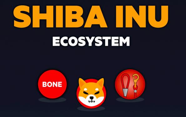 狗屎币(狗屎币最新价格)