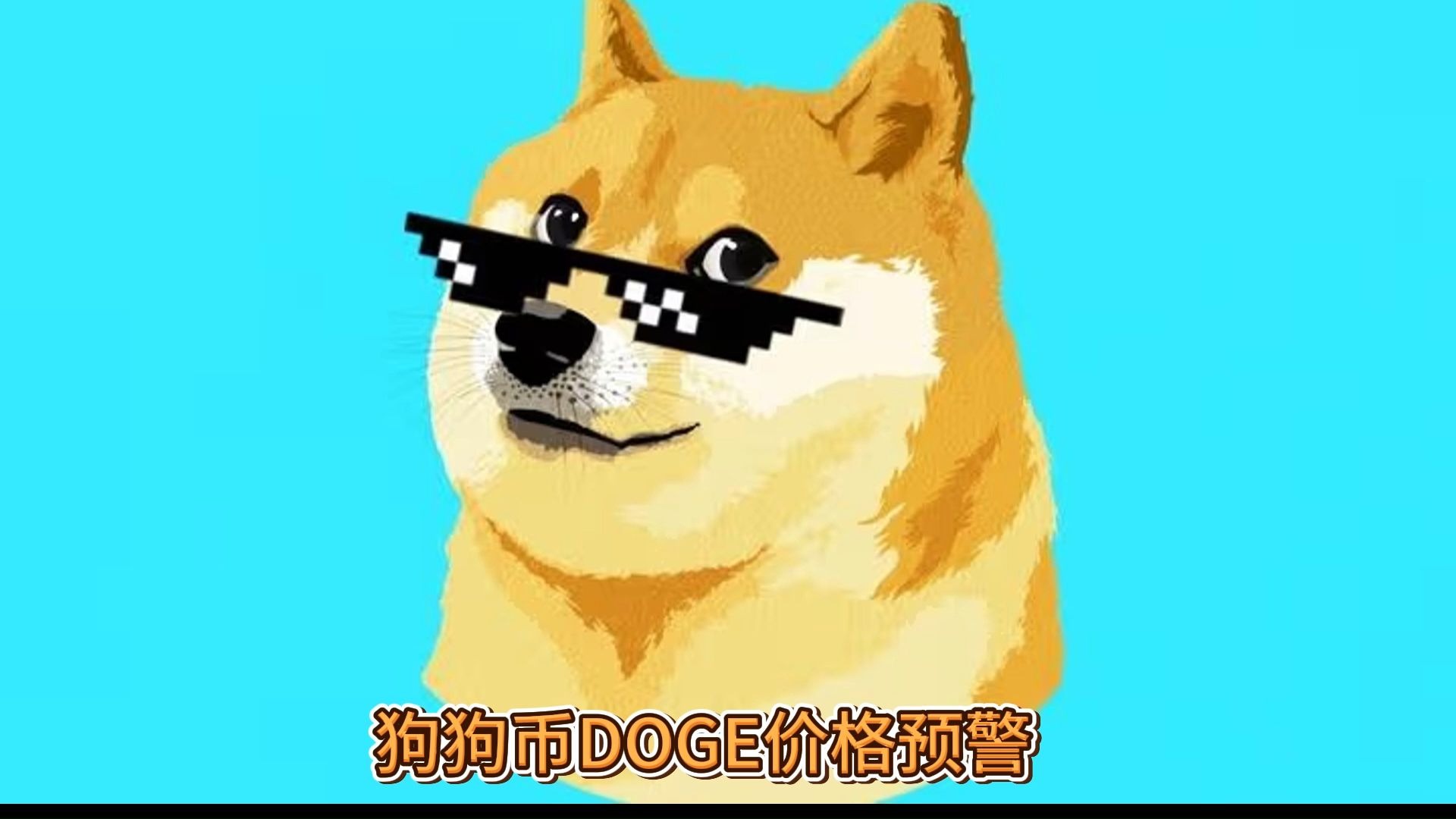 DOGE币(doge表情包) DOGE币(doge表情包)