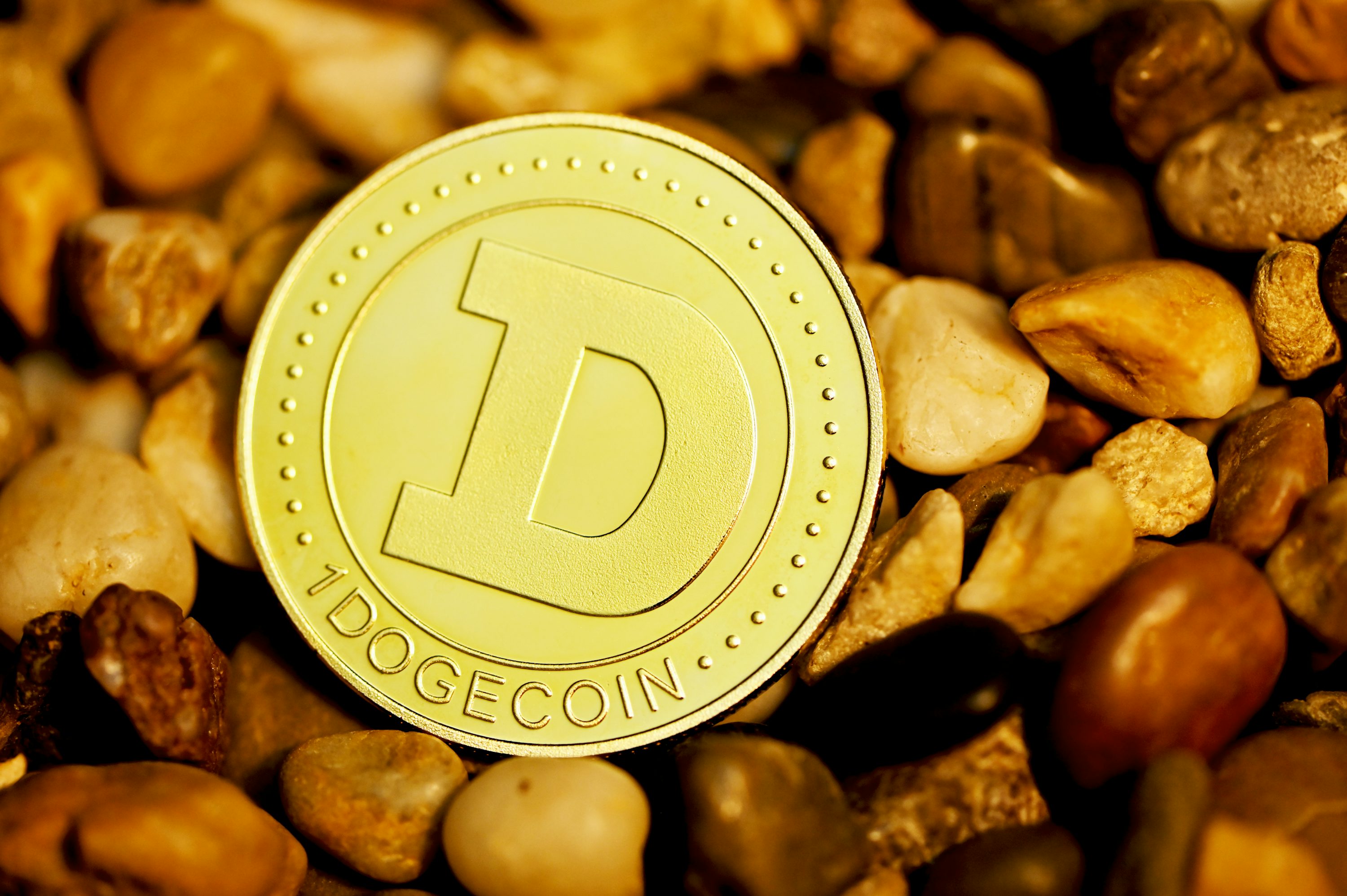 DOGECOIN(dogecoin是什么意思)